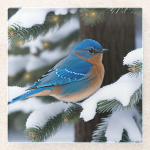 Winter Bluebird Glass Coaster