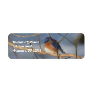 Winter Bluebird Nature Art Address Label