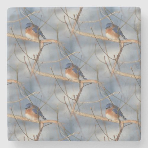 Winter Bluebird Nature Art Pattern Stone Coaster