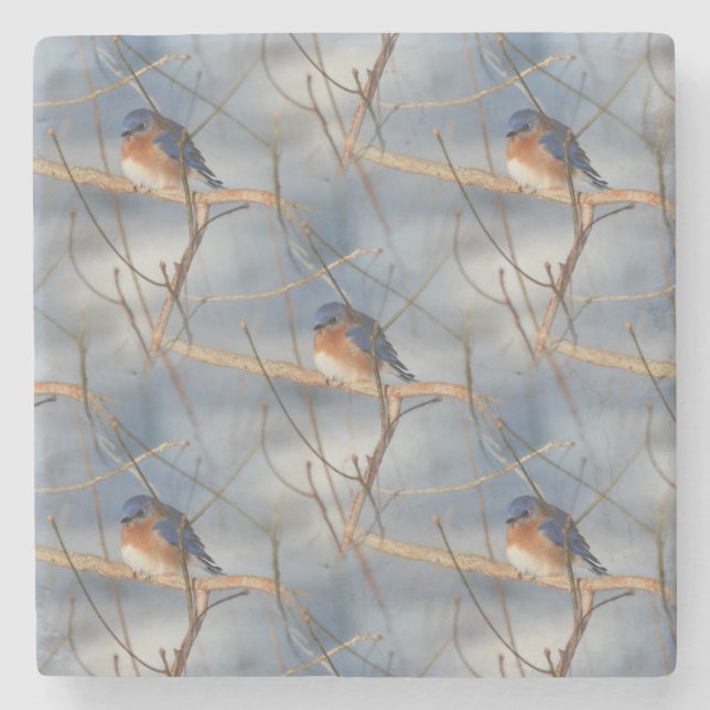 Winter Bluebird Nature Art Pattern Stone Coaster (Front)