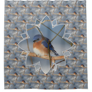 Winter Bluebird Nature Bird Art Pattern Shower Curtain