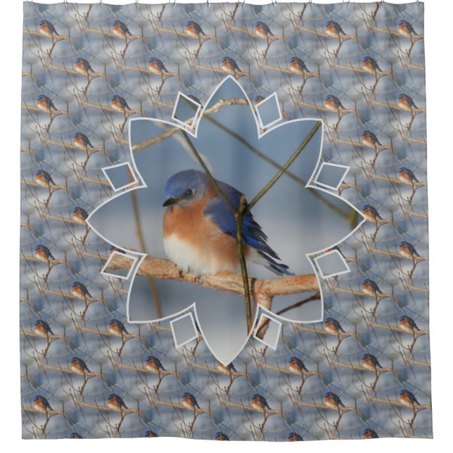 Winter Bluebird Nature Bird Art Pattern  Shower Curtain (Front)