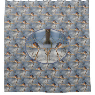 Winter Bluebird Nature Bird Art Shower Curtain