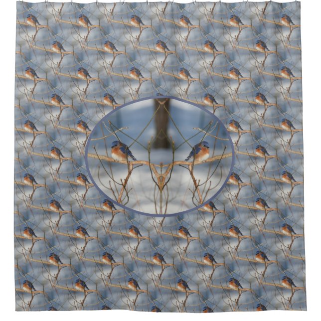 Winter Bluebird Nature Bird Art Shower Curtain (Front)