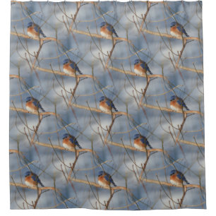 Winter Bluebird Nature Bird Pattern  Shower Curtain