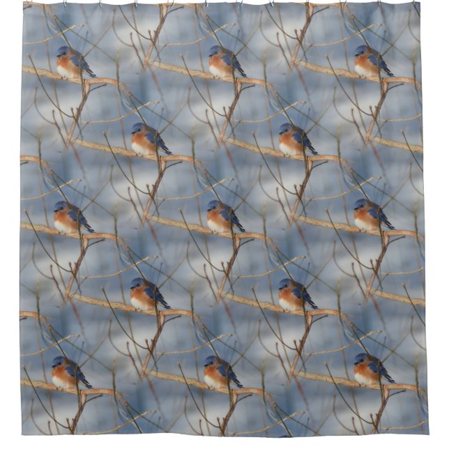 Winter Bluebird Nature Bird Pattern  Shower Curtain (Front)