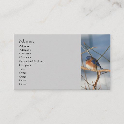 Customizable Winter Bluebird Nature Business Card
