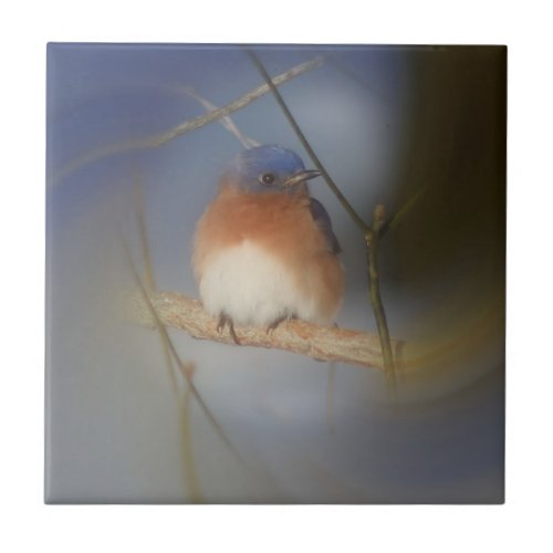 Winter Bluebird Nature Ceramic Tile