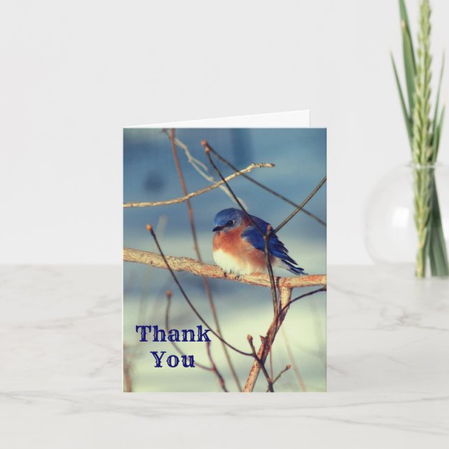 Winter Bluebird Nature Customizable Thank You Card (Front)