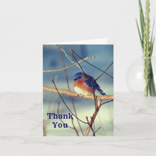 Winter Bluebird Nature Customizable Thank You Card