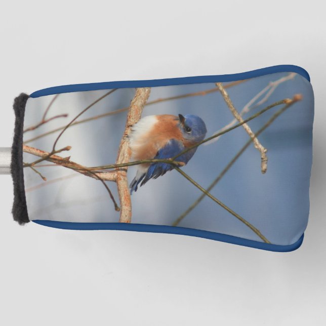 Winter Bluebird Nature Golf Head Cover (Front)
