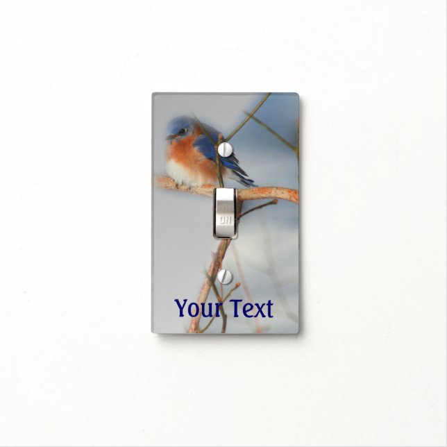 Winter Bluebird Nature Light Switch Cover (In Situ)