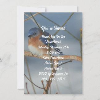 Winter Bluebird Nature Party Invitation