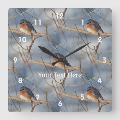 Winter Bluebird Nature Pattern Square Wall Clock