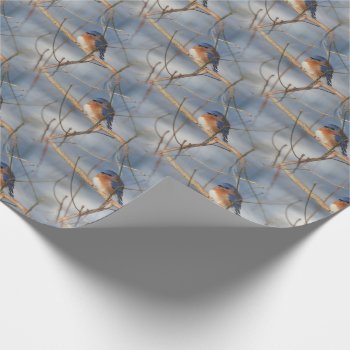 Winter Bluebird Nature Pattern   Wrapping Paper by SmilinEyesTreasures at Zazzle