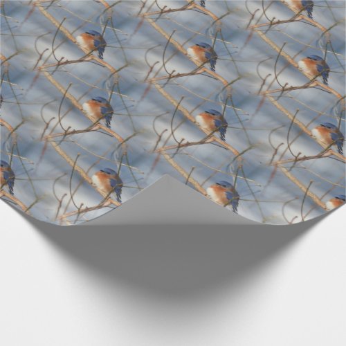 Winter Bluebird Nature Pattern   Wrapping Paper