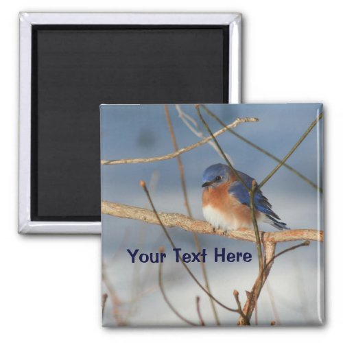 Winter Bluebird Personalized Animal Magnet