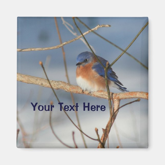 Winter Bluebird Personalized Animal Magnet (Front)