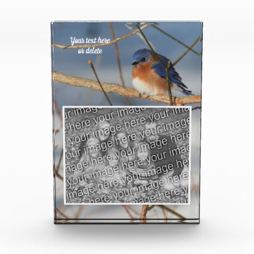 Winter Bluebird Personalized Create Your Own  Photo Block