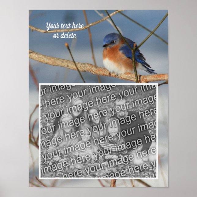 Winter Bluebird Personalized Create Your Own Photo Poster (Front)