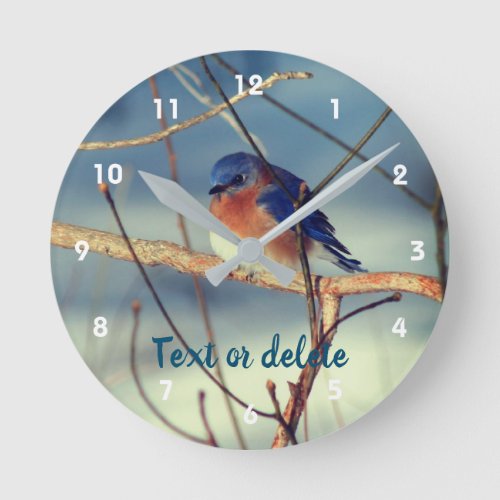 Winter Bluebird Personalized   Round Clock