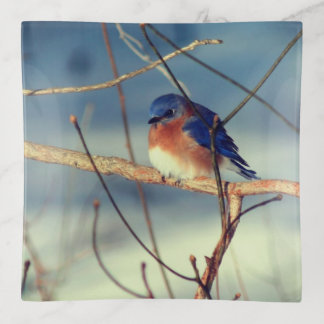 Winter Bluebird Trinket Tray