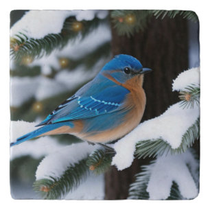 Winter Bluebird Trivet