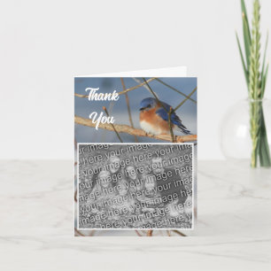 Winter Bluebird Wedding Photo Letterpress Thank You Card