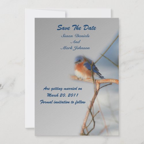 Winter Bluebird Wedding Save The Date Invitation