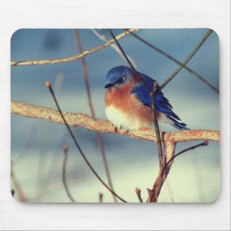 Winter Bluebird Wildlife Nature Mouse Pad