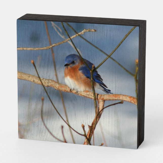 Winter Bluebird   Wooden Box Sign (Angled Horizontal)
