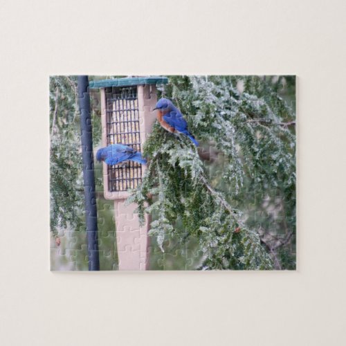 Winter Bluebirds Jigsaw Puzzle