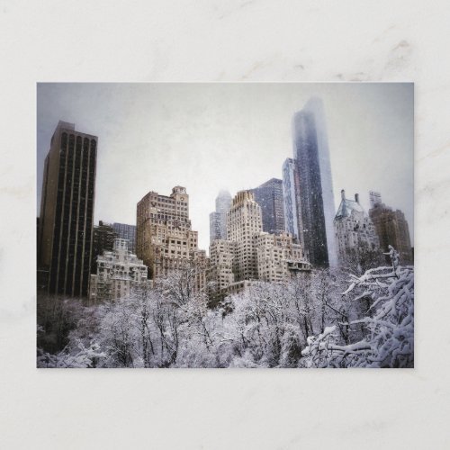 Winter Blues In Central Park Postcard
