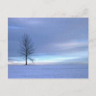 Winter Blues Postcard