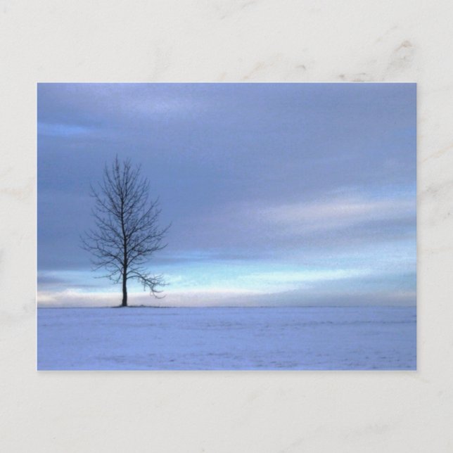 Winter Blues Postcard (Front)