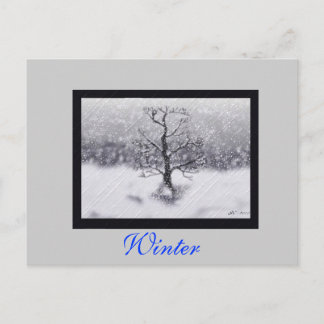 Winter Born Postcard