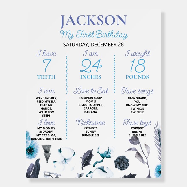 Winter Boy Onderland Birthday Milestone Sign (Front)