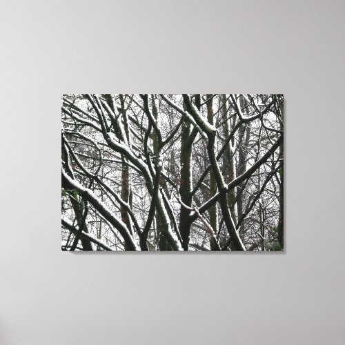 Winter Branches Canvas Print