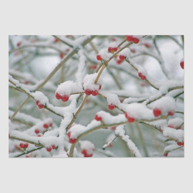 Winter Branches with Red Berries and Snow Tissue Paper (Front)
