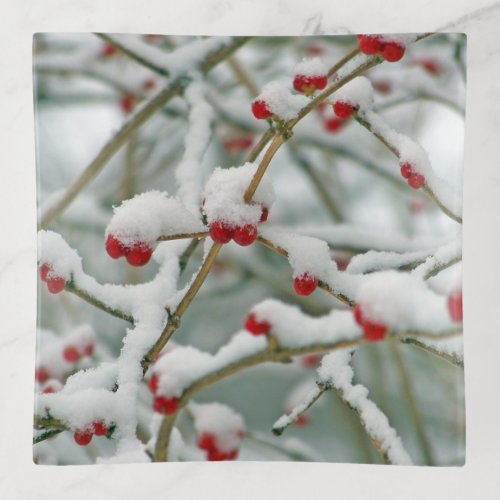 Winter Branches with Red Berries and Snow Trinket Tray