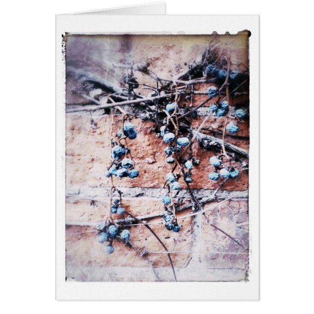 Winter Brick and Vine All Occasions Blank Inside (Front)