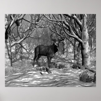 Winter Buck B/W Poster