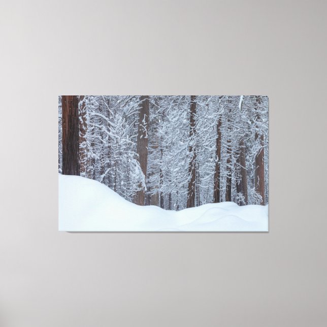 Winter Canvas Print (Front)