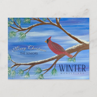 Winter Cardinal Christmas Postcard
