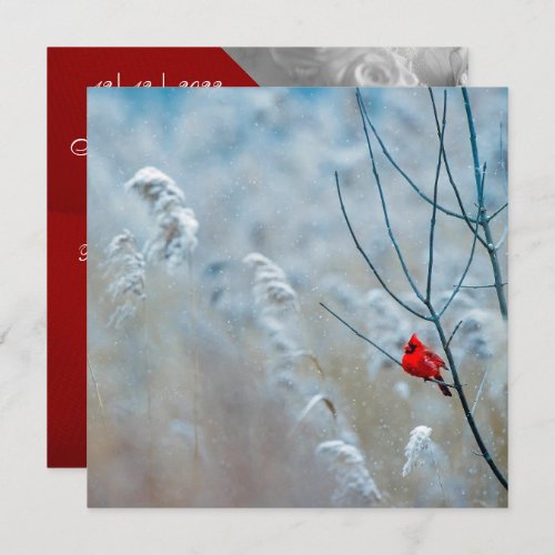 Winter Cardinal Invitation