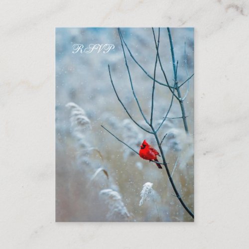 Winter Cardinal RSVP Postcard
