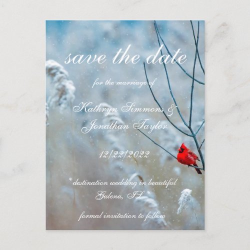 Winter Cardinal save the date Invitation Postcard