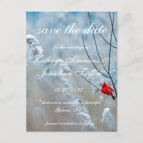 Winter Cardinal save the date Invitation Postcard