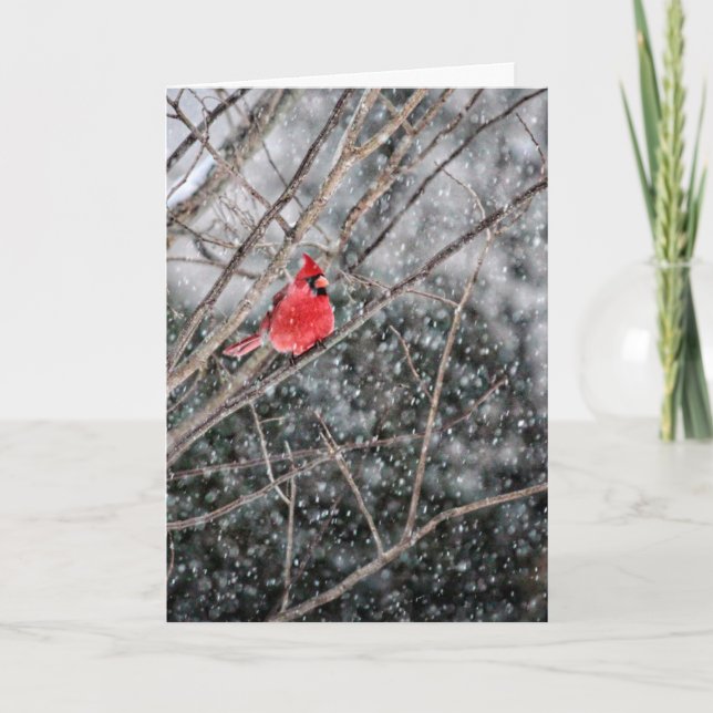 Winter Cardinal & Snow Greeting Card (Front)