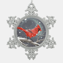 Winter Cardinal